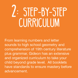 Step-by-Step Curriculum