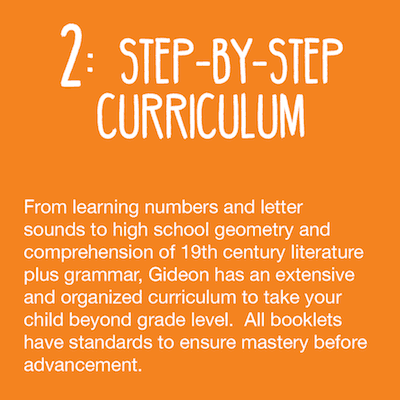 2: Step-by-Step Curriculum
